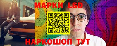 крисы Новокубанск