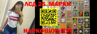 крисы Новокубанск