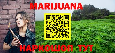 крисы Новокубанск
