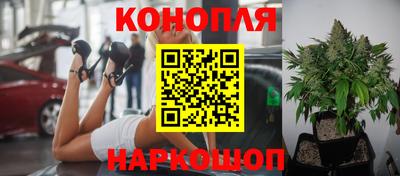 мяу мяу мука Новодвинск