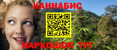 крисы Новокубанск
