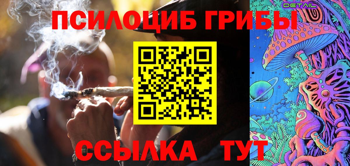 Тара  Галлюциногенные грибы Cubensis  Вход с VPN 